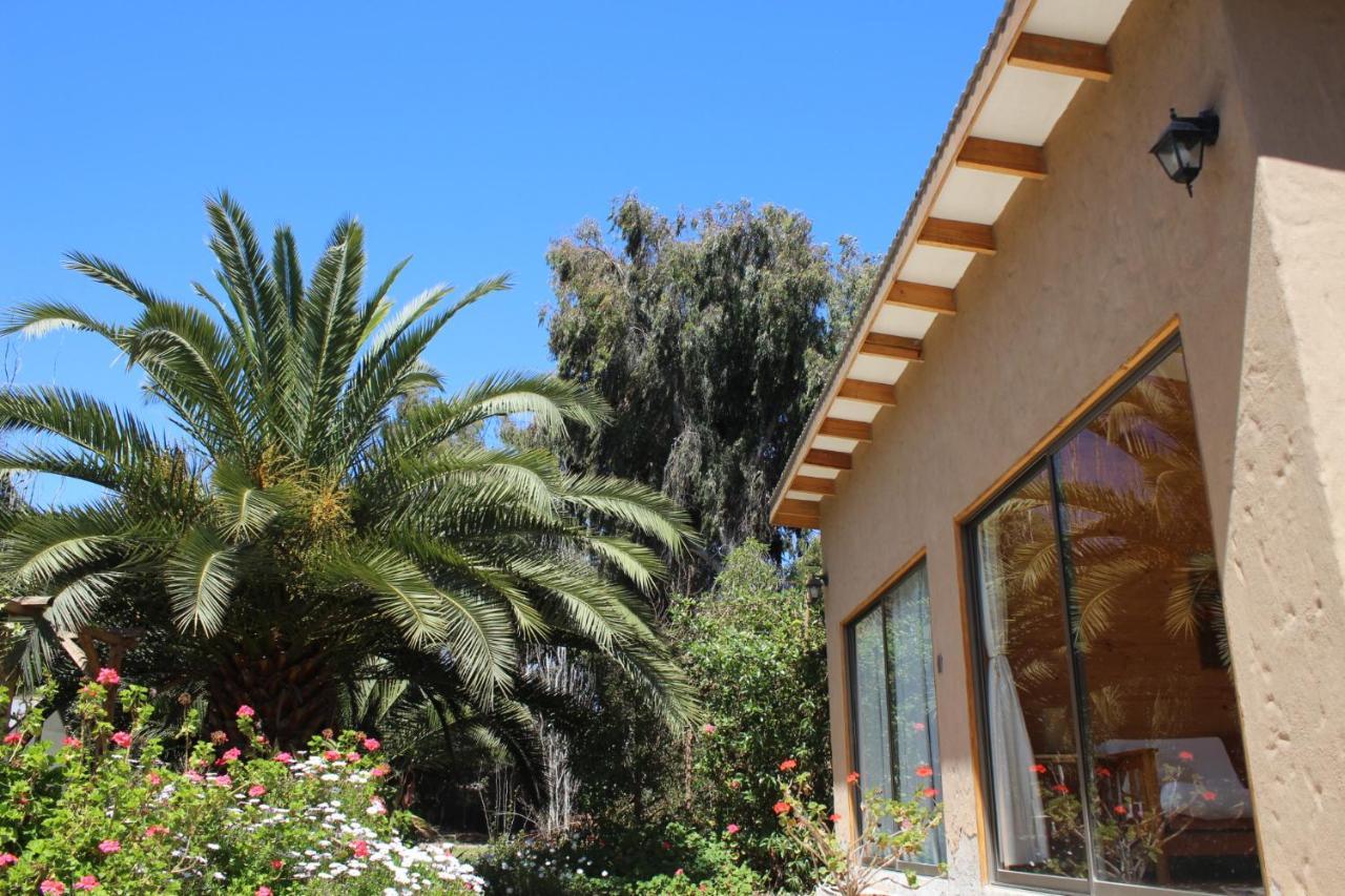 El Arbol Eco Lodge La Serena Eksteriør billede