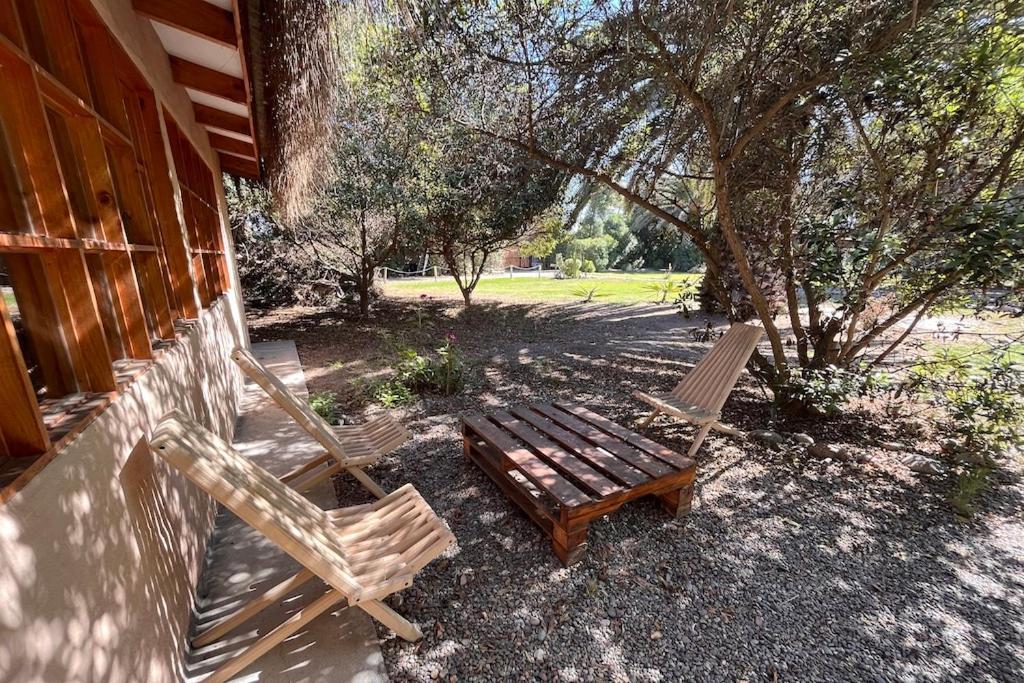 El Arbol Eco Lodge La Serena Eksteriør billede
