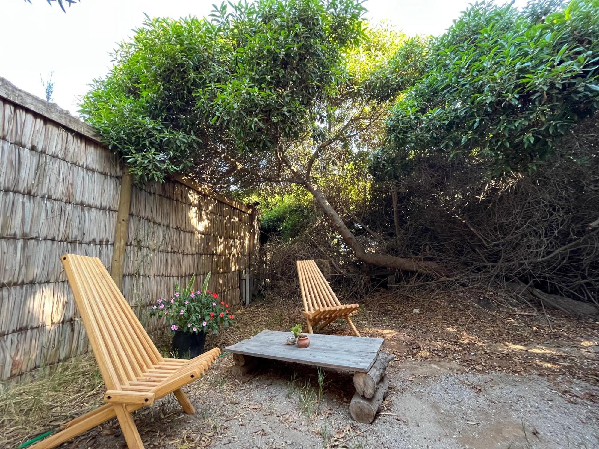 El Arbol Eco Lodge La Serena Eksteriør billede