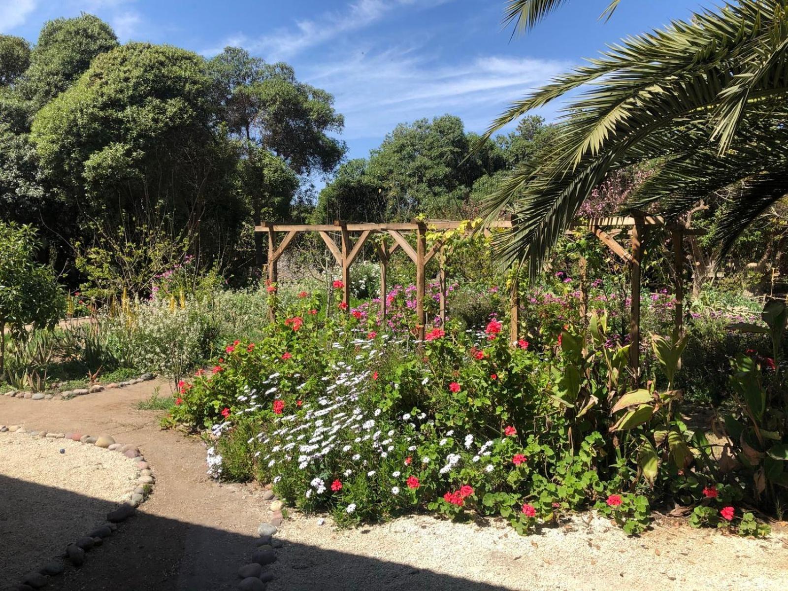 El Arbol Eco Lodge La Serena Eksteriør billede