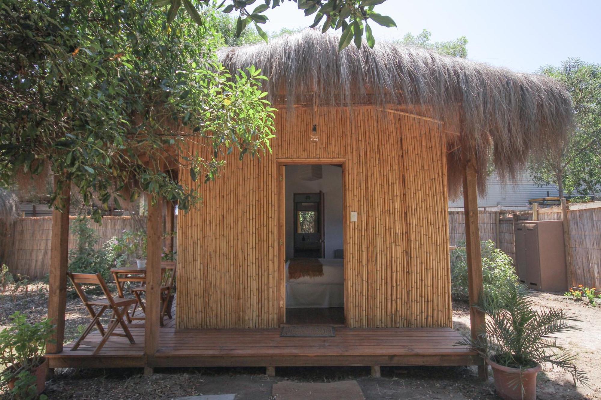 El Arbol Eco Lodge La Serena Eksteriør billede