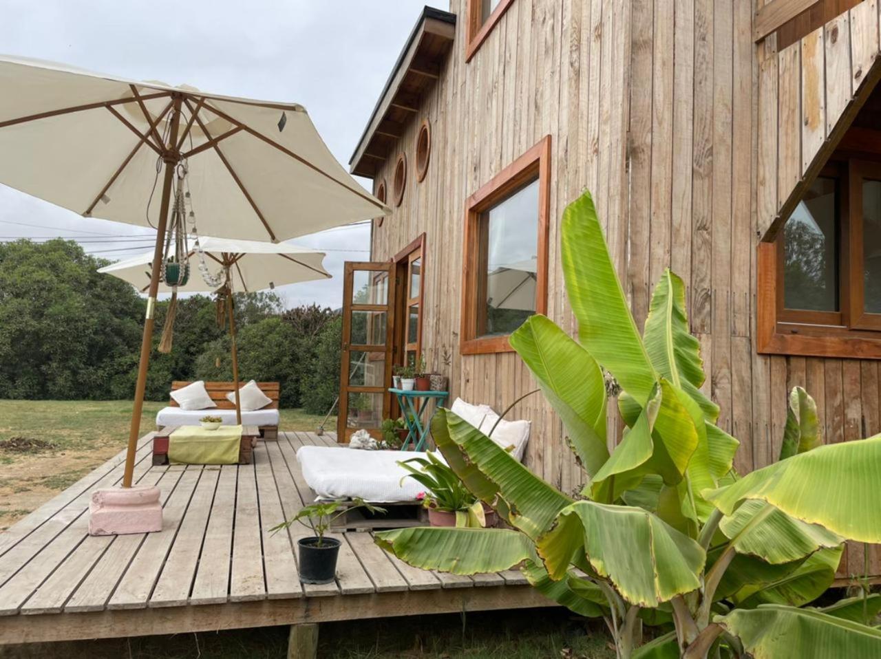 El Arbol Eco Lodge La Serena Værelse billede