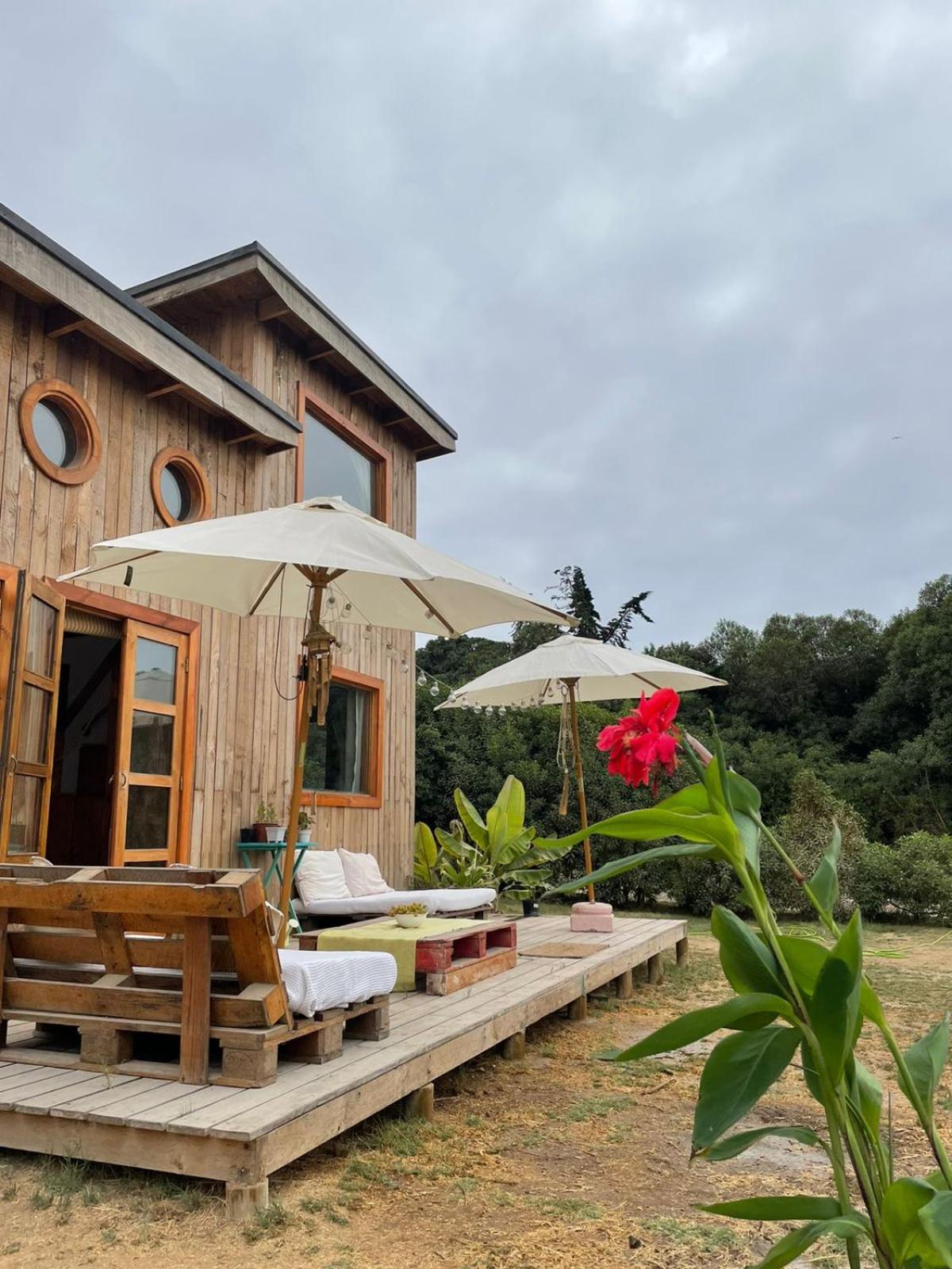 El Arbol Eco Lodge La Serena Værelse billede