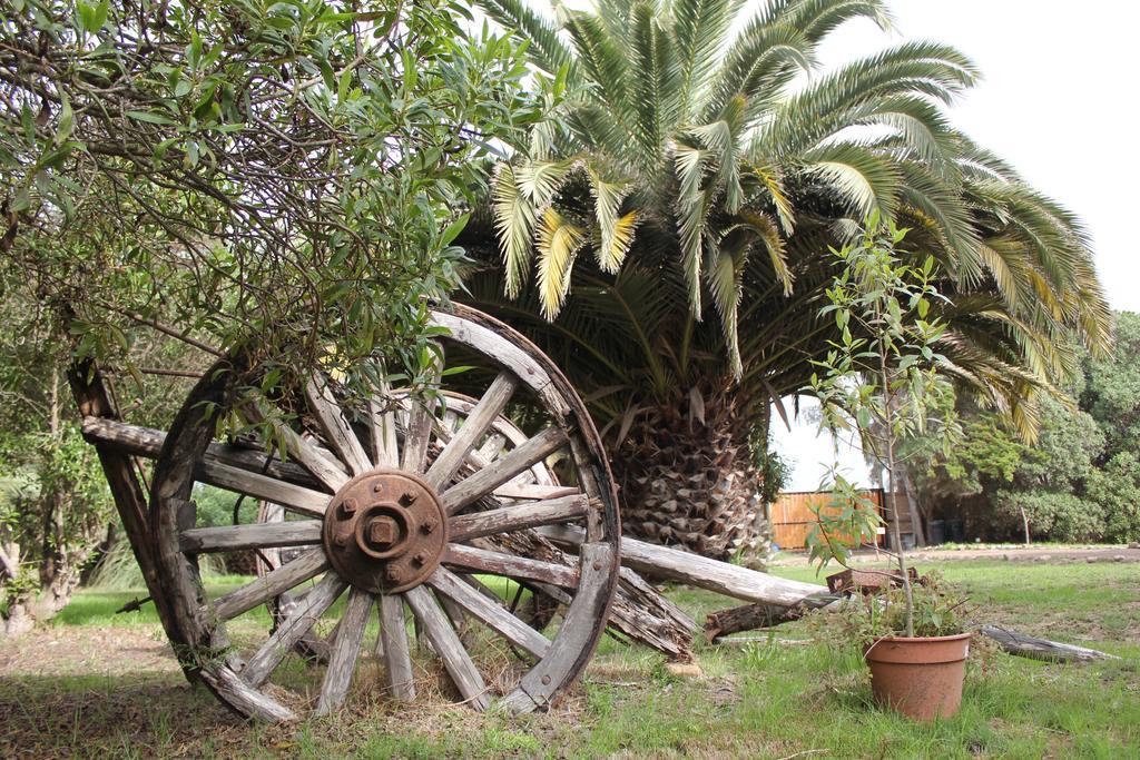 El Arbol Eco Lodge La Serena Eksteriør billede